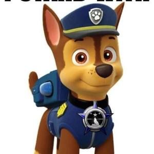 Meet your Posher, Ty